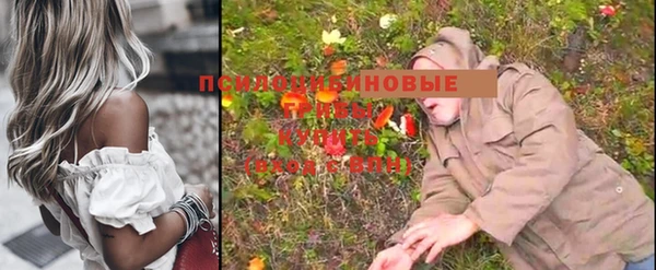 мет Алзамай