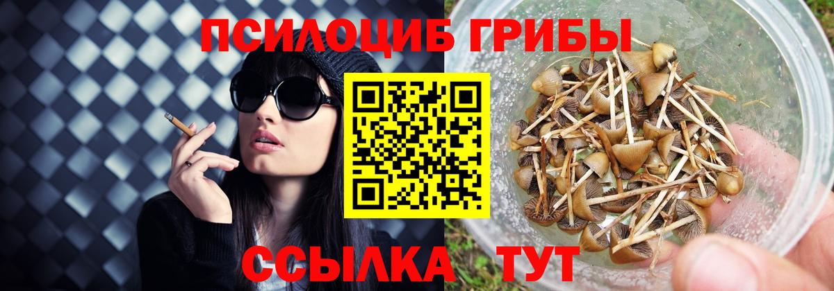 Бошки Шишки Тында